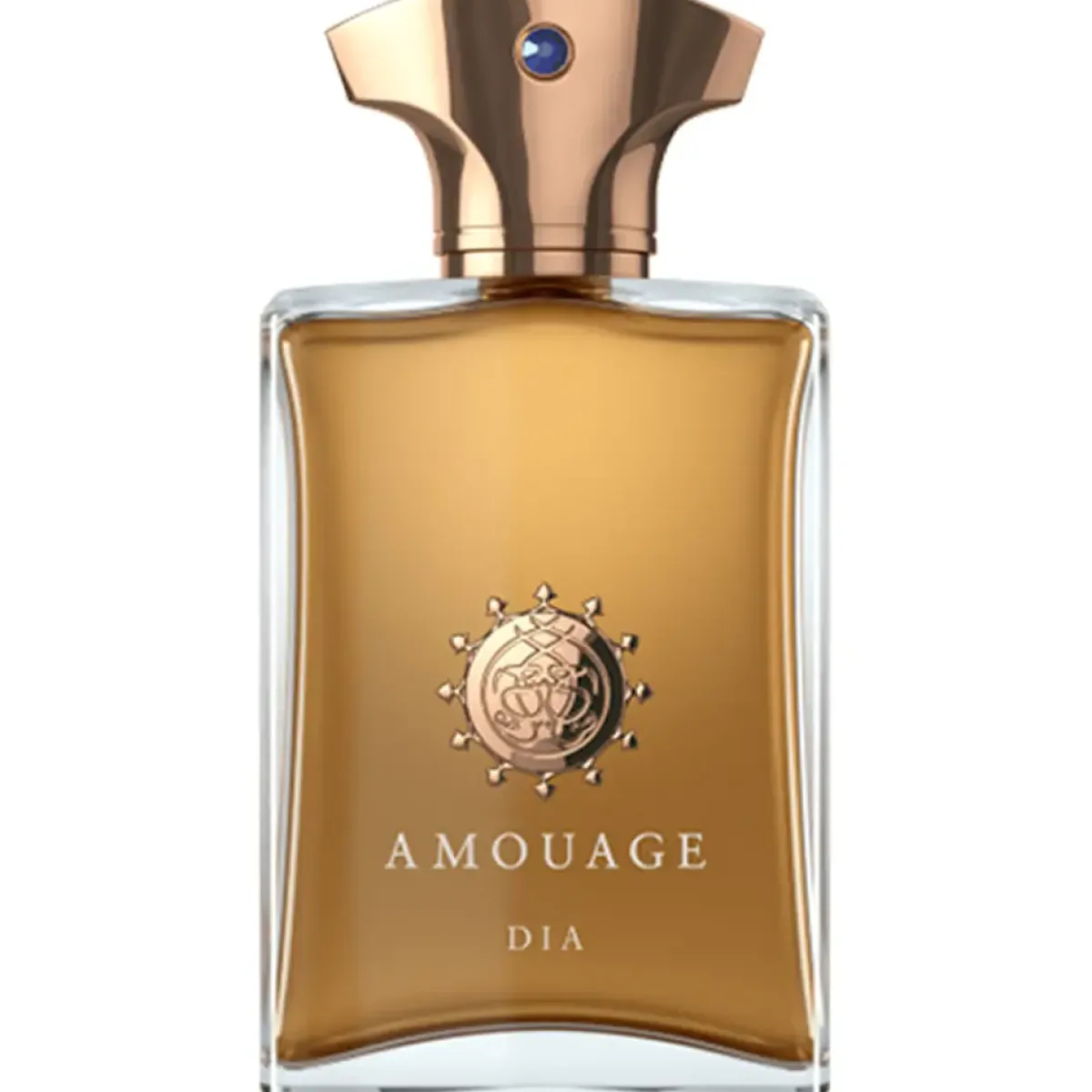 Amouage Parfums De Niche Pour Femmes|Parfums De Niche Pour Hommes>Dia Man Eau de Parfum Spray