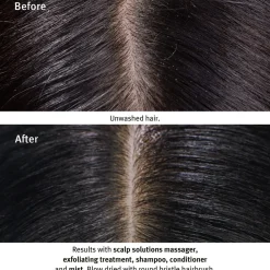 Aveda Soins Du Cuir Chevelu|Après-shampoing><noscript><img width=