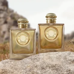 Burberry Parfums Épicés><noscript><img width=