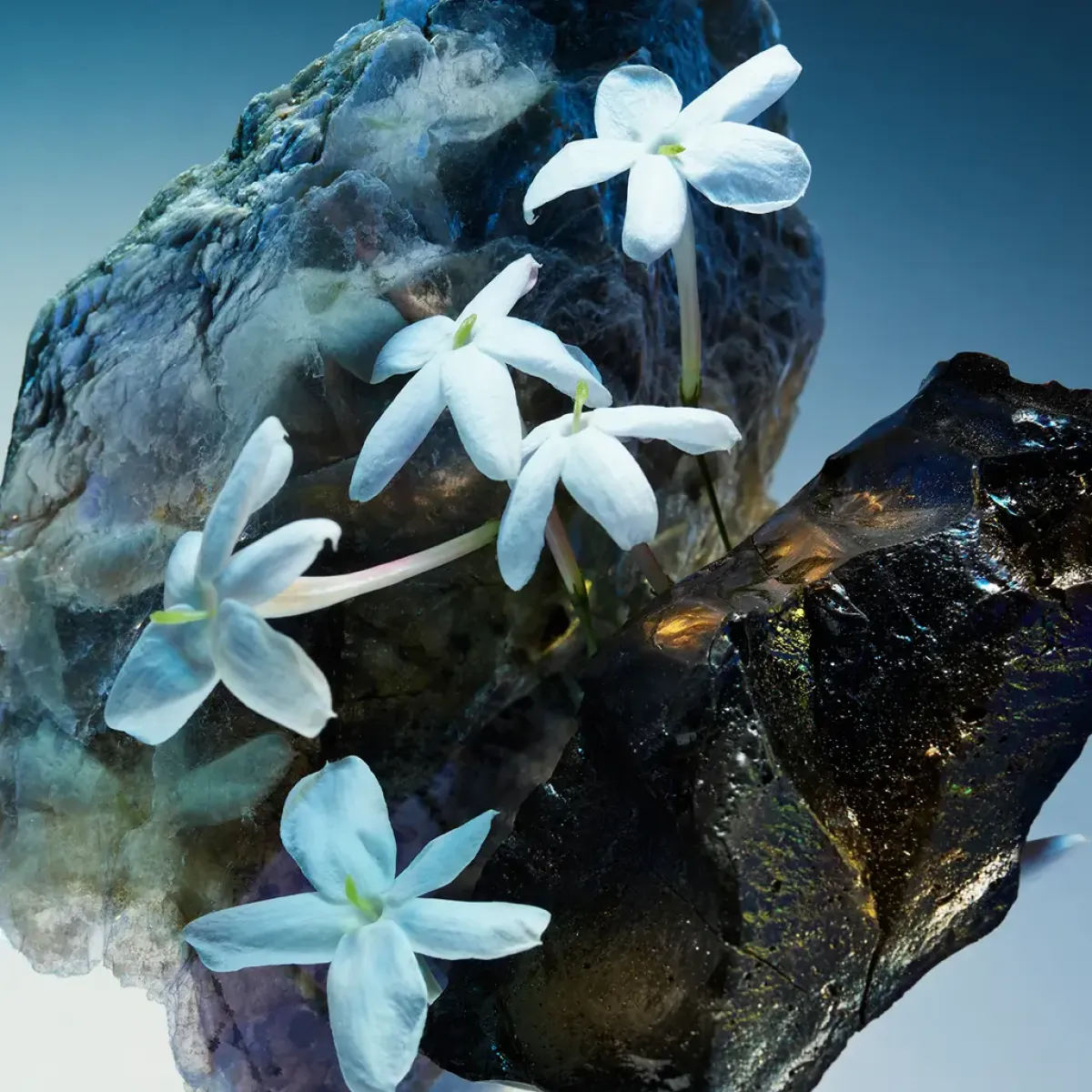 Bvlgari Parfums Floraux>Le Gemme Amunae Eau de Parfum