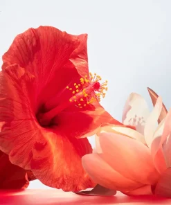 Bvlgari Parfums Floraux><noscript><img width=