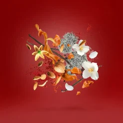 Xerjoff Parfums De Niche Pour Femmes|Parfums Épicés><noscript><img width=