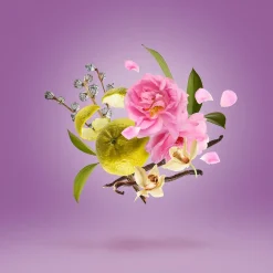 Xerjoff Parfums De Niche Pour Femmes><noscript><img width=