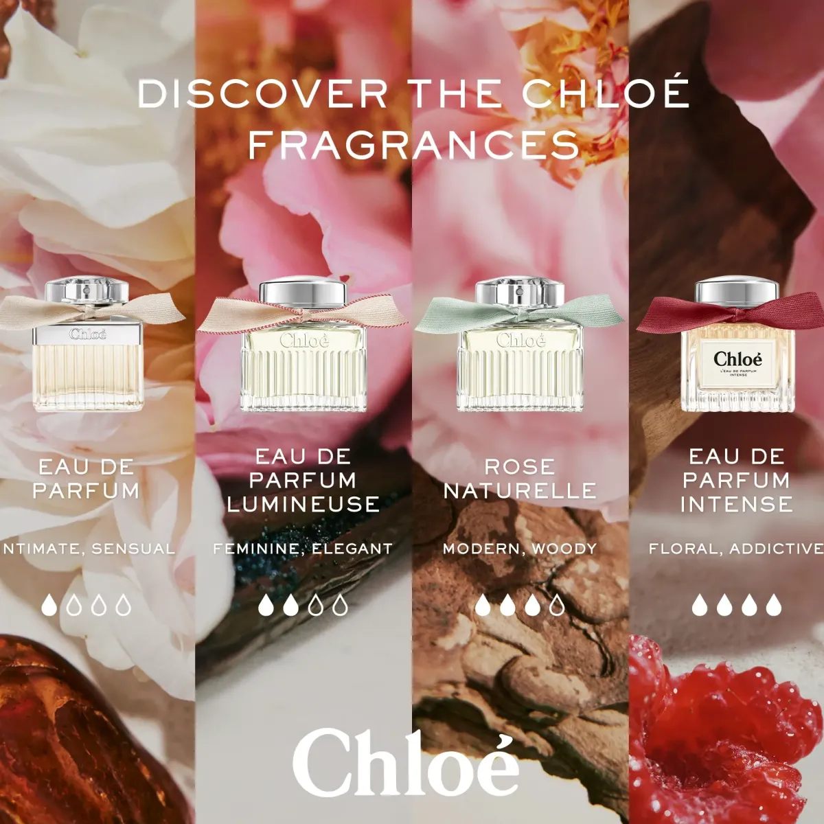 Chloé Bain Douche|Parfums Floraux>Douchegel
