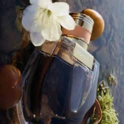 Chloé Parfums Floraux><noscript><img width=