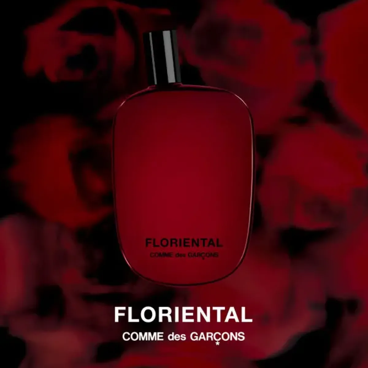 Comme des Garu00e7ons Parfums Floraux>Comme des Garçons Floriental Eau de Parfum Spray