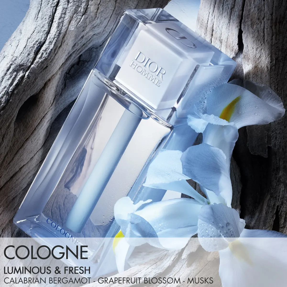 DIOR Parfums Frais|Parfums Floraux>Homme Cologne