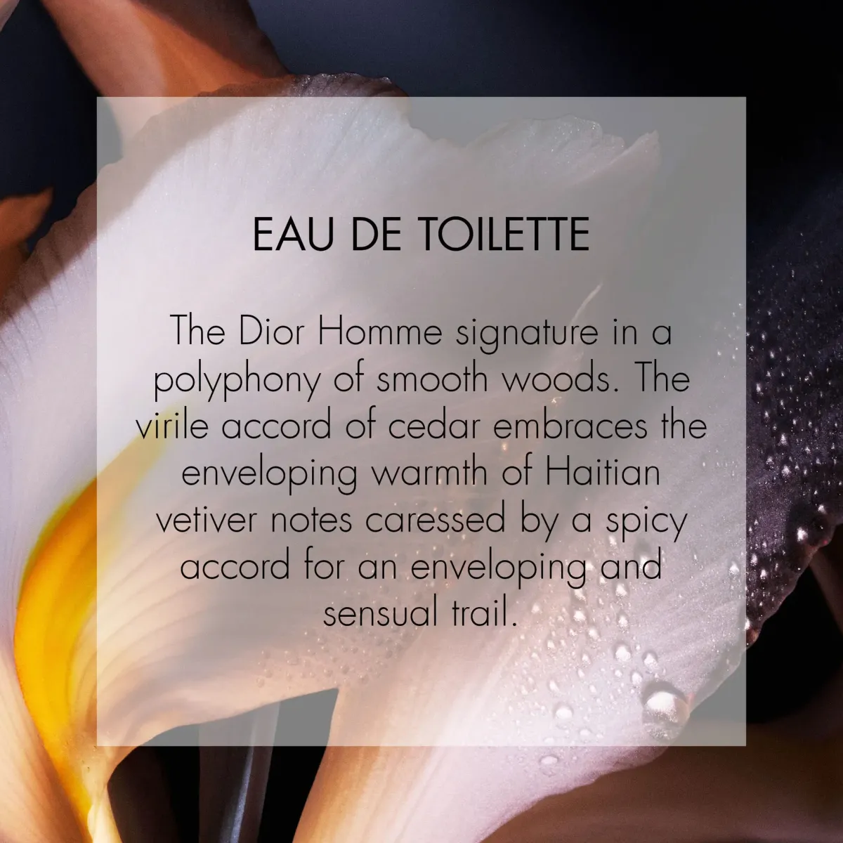 DIOR Parfums Floraux>Homme Eau de Toilette