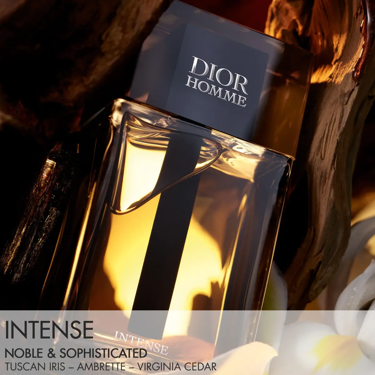 DIOR Parfums Floraux>Homme Intense Eau de Parfum