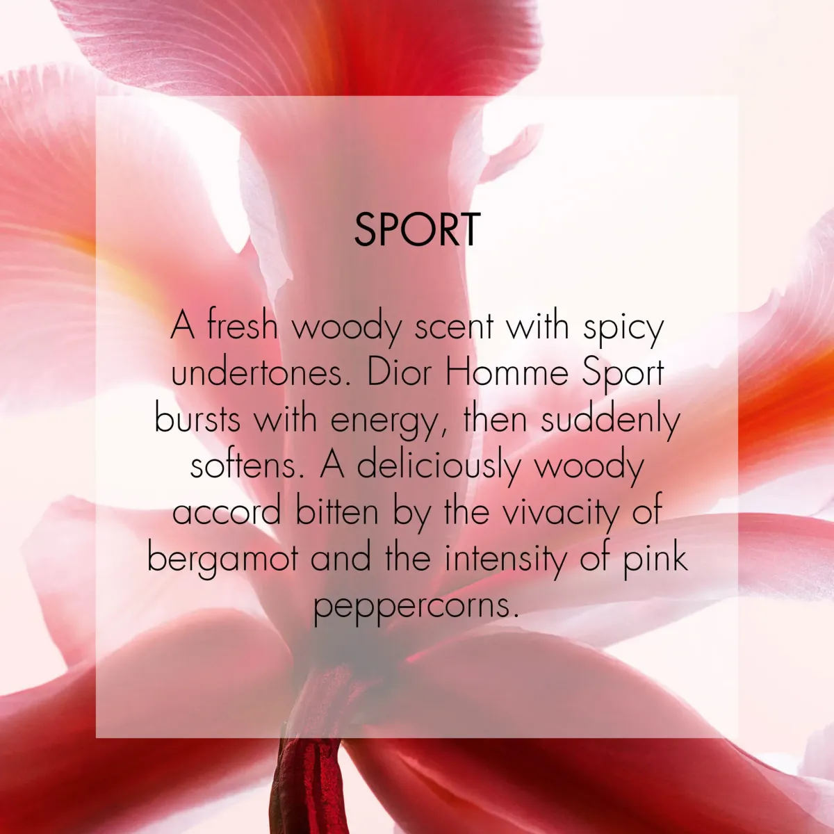 DIOR Parfums Frais>Homme Sport Eau de Toilette Spray
