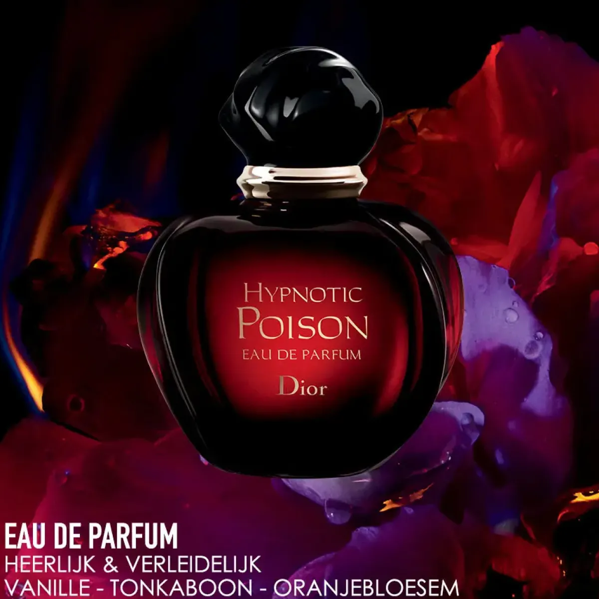 DIOR Parfums Épicés>Hypnotic Poison Eau de Parfum