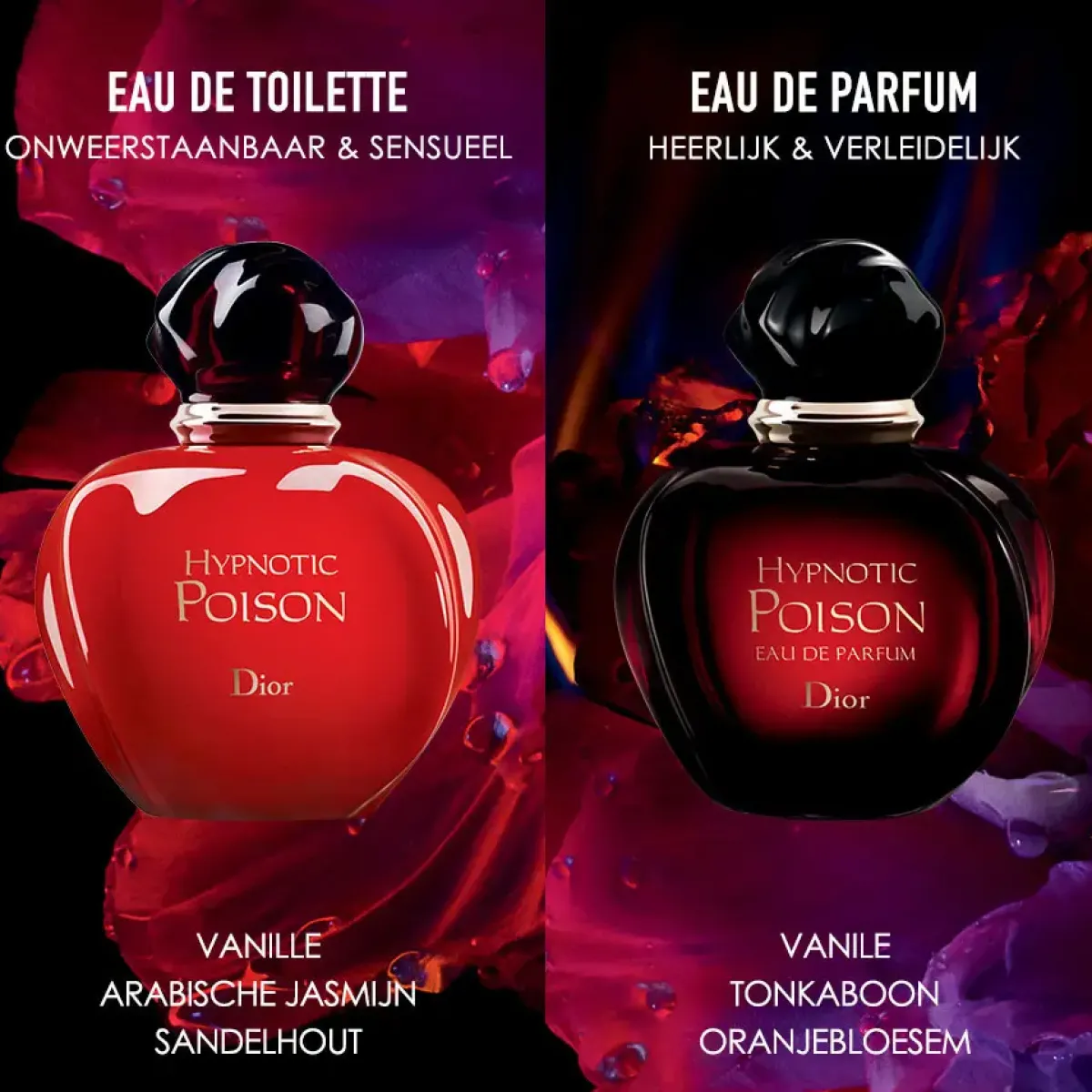 DIOR Parfums Épicés>Hypnotic Poison Eau de Toilette