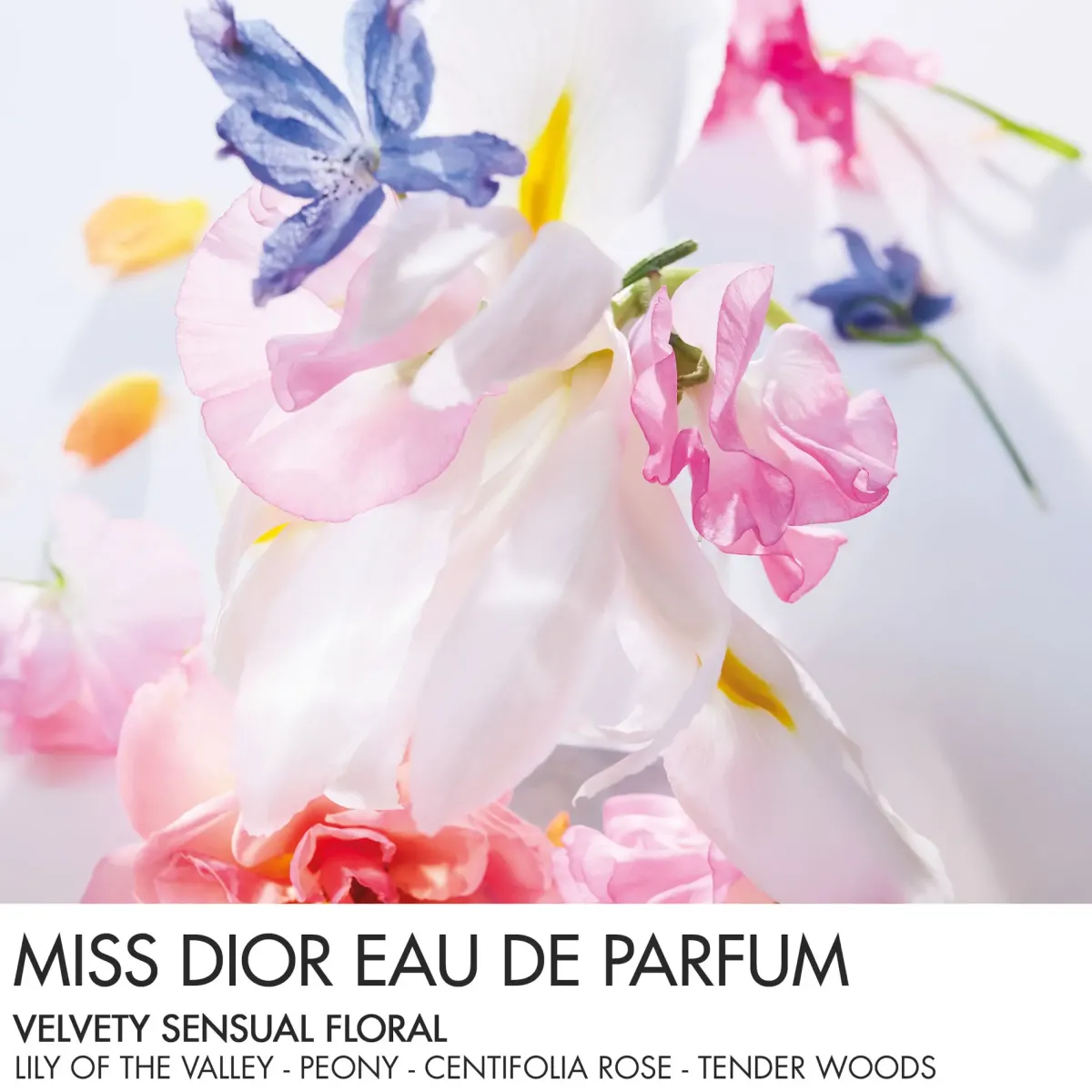 DIOR Parfums Frais|Parfums Floraux>Miss Eau de Parfum Roller-Pearl