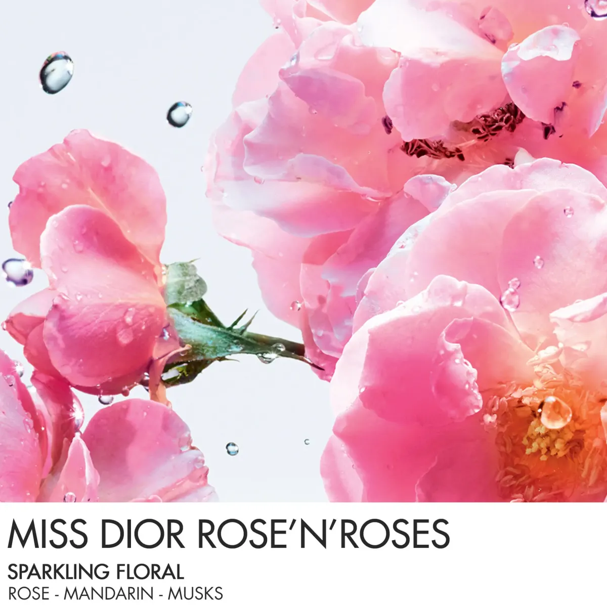 DIOR Parfums Floraux>Miss Rose N'Roses Eau de Toilette Roller-Pearl