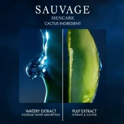 DIOR Visage|Serum><noscript><img width=