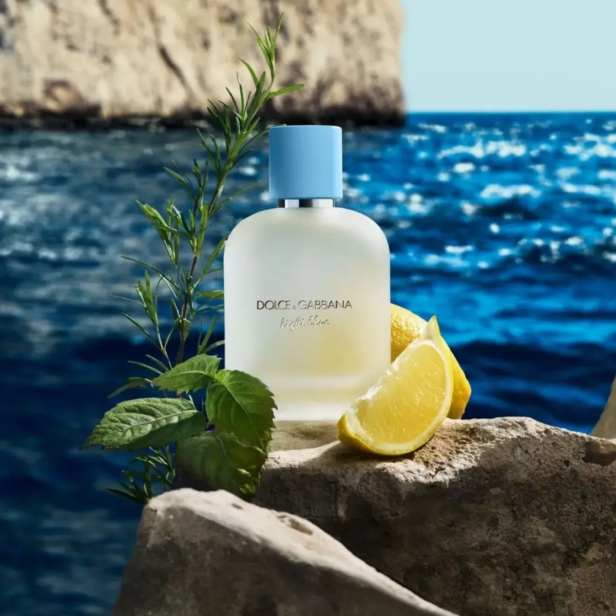 Dolce & Gabbana Parfums Frais>Light Blue pour Homme Eau de Toilette