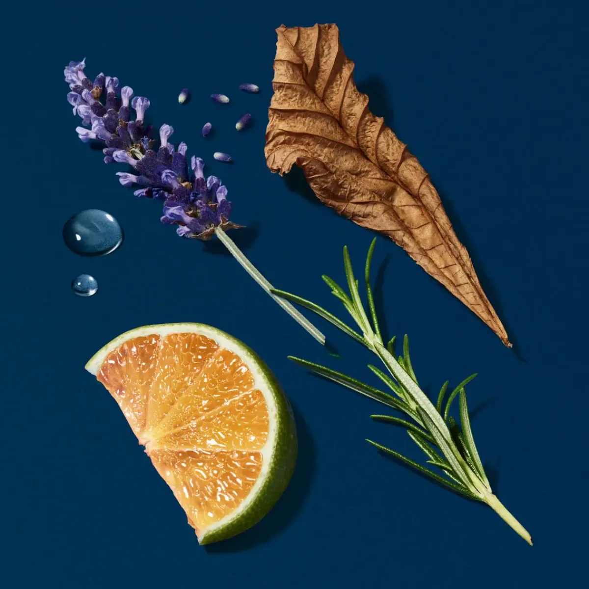 Armani Parfums Frais>Giorgio Acqua Di Giò Profondo Eau de Parfum