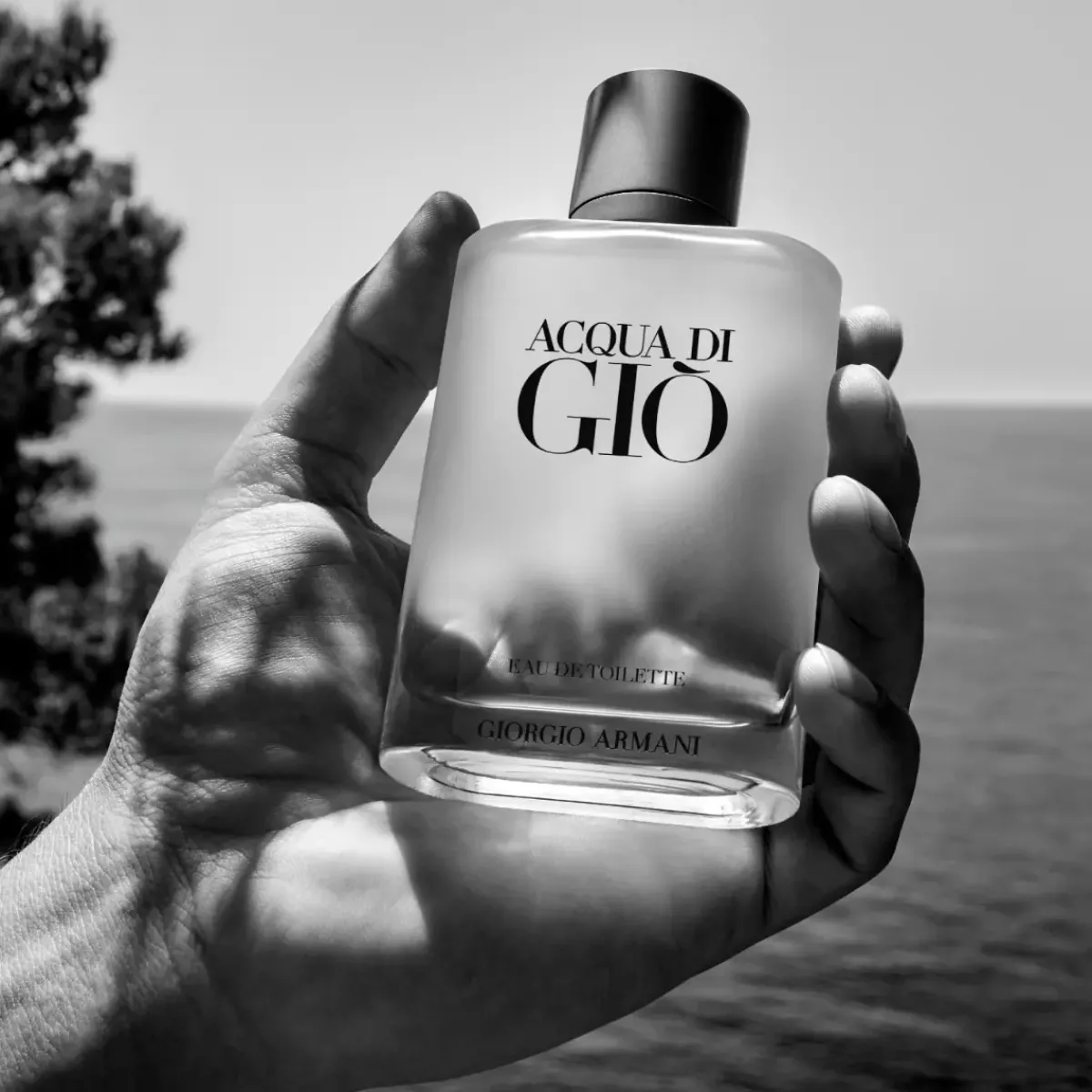 Armani Parfums Frais|Top 10>Giorgio Acqua di Gio Homme Eau de Toilette Spray