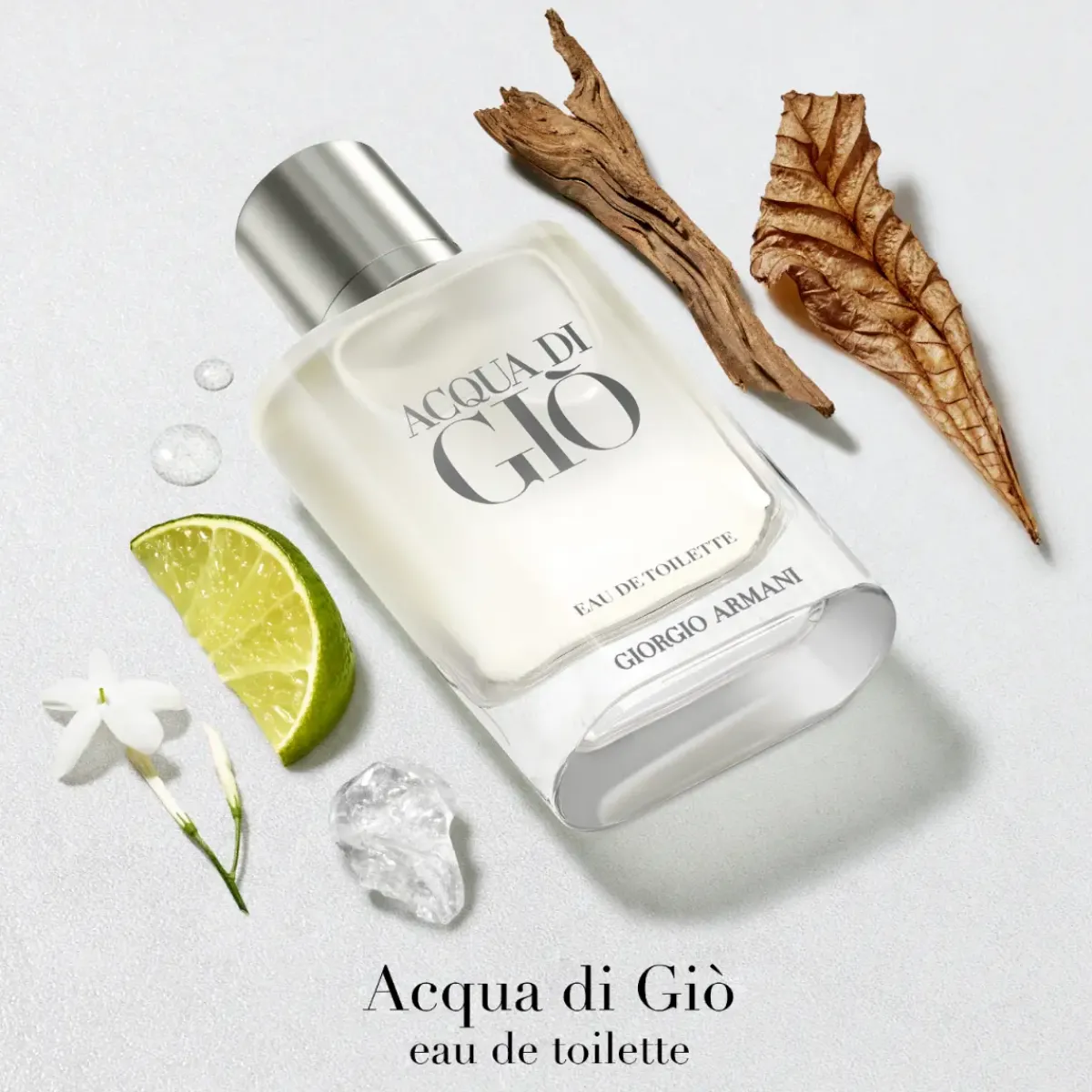Armani Parfums Frais|Top 10>Giorgio Acqua di Gio Homme Eau de Toilette Spray