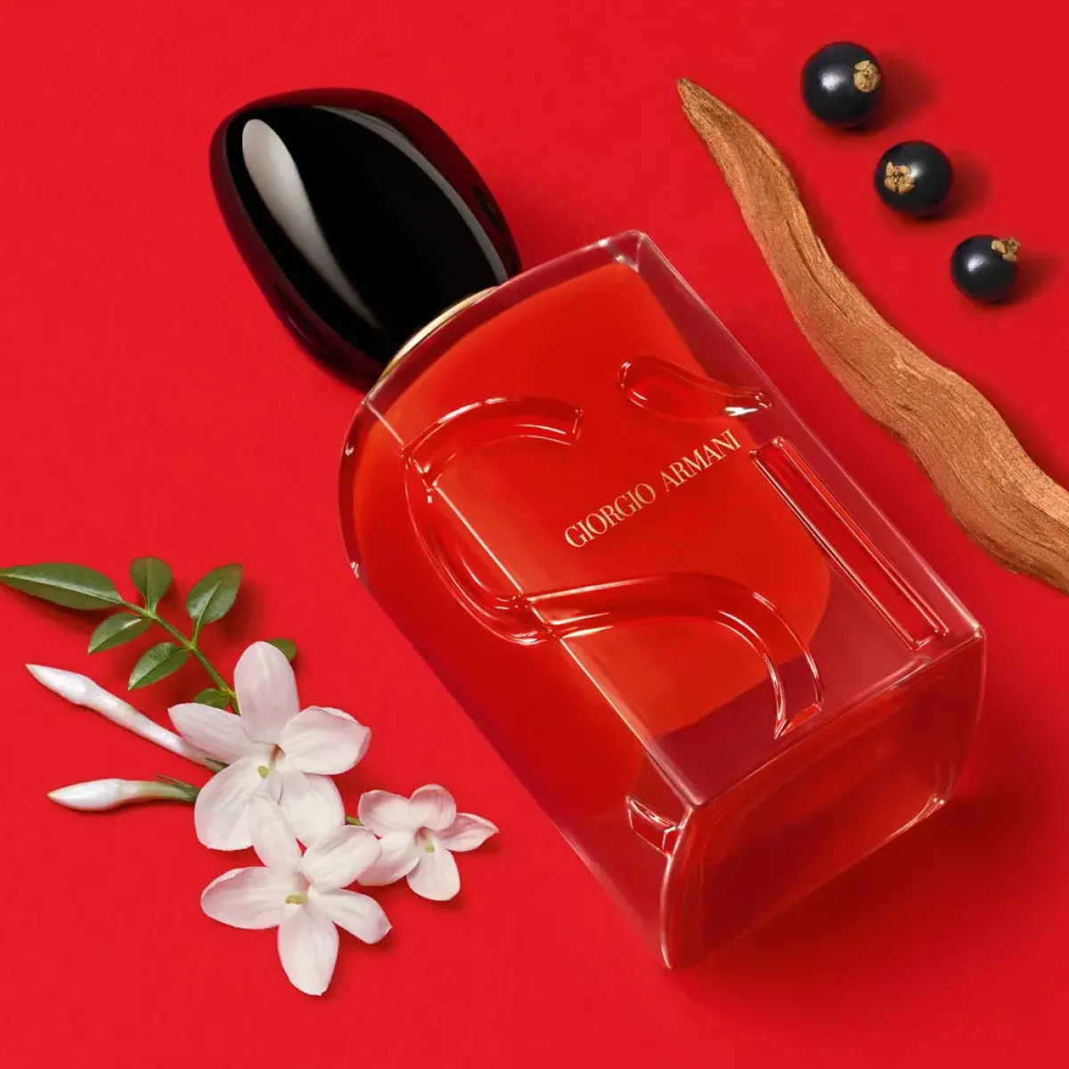 Armani Parfums Floraux>Giorgio Sì Passione Eau de Parfum Spray
