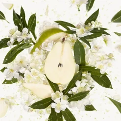 Gucci Parfums Floraux><noscript><img width=