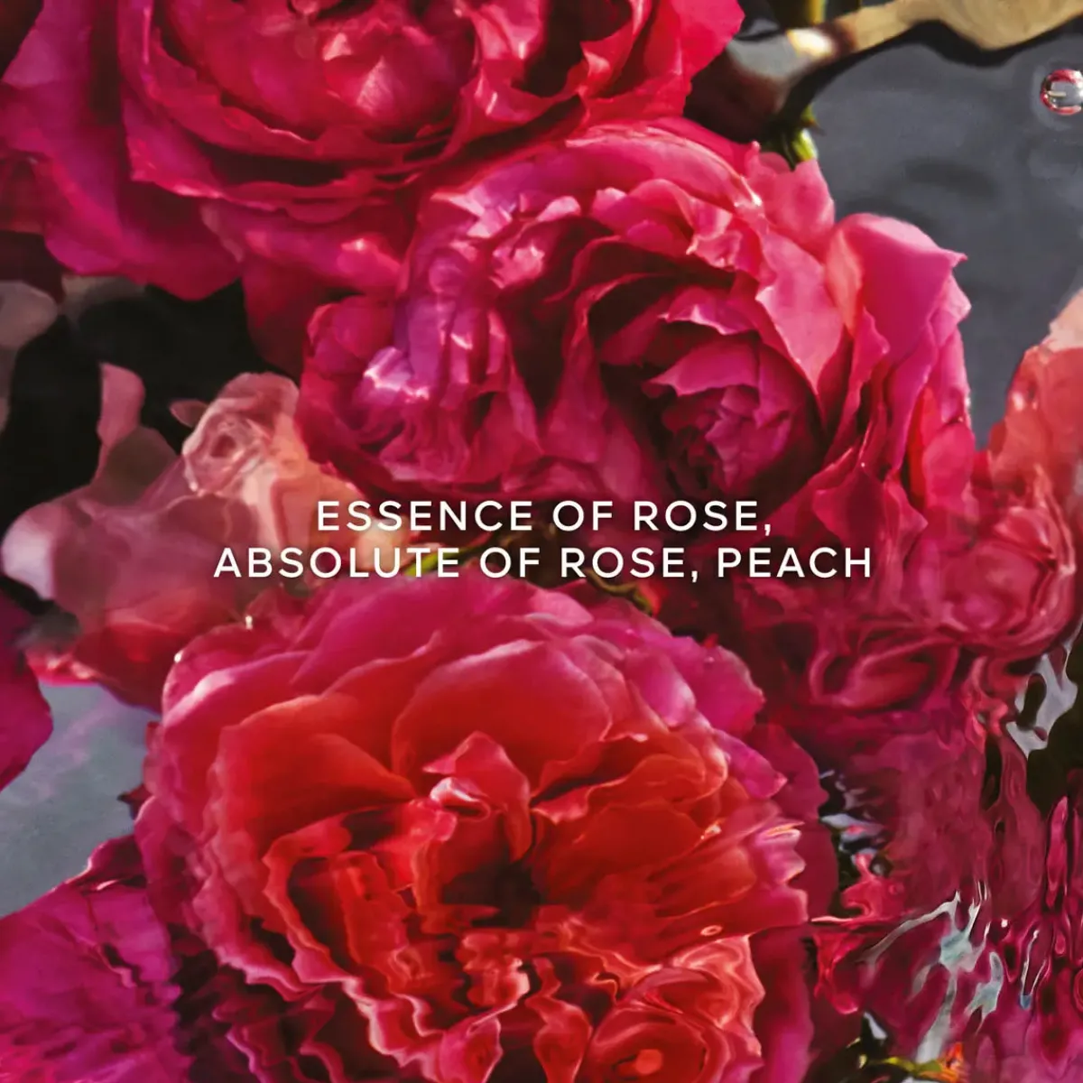 Guerlain Parfums Floraux>Aqua Allegoria - Rosa Rossa Forte Eau de Parfum Spray