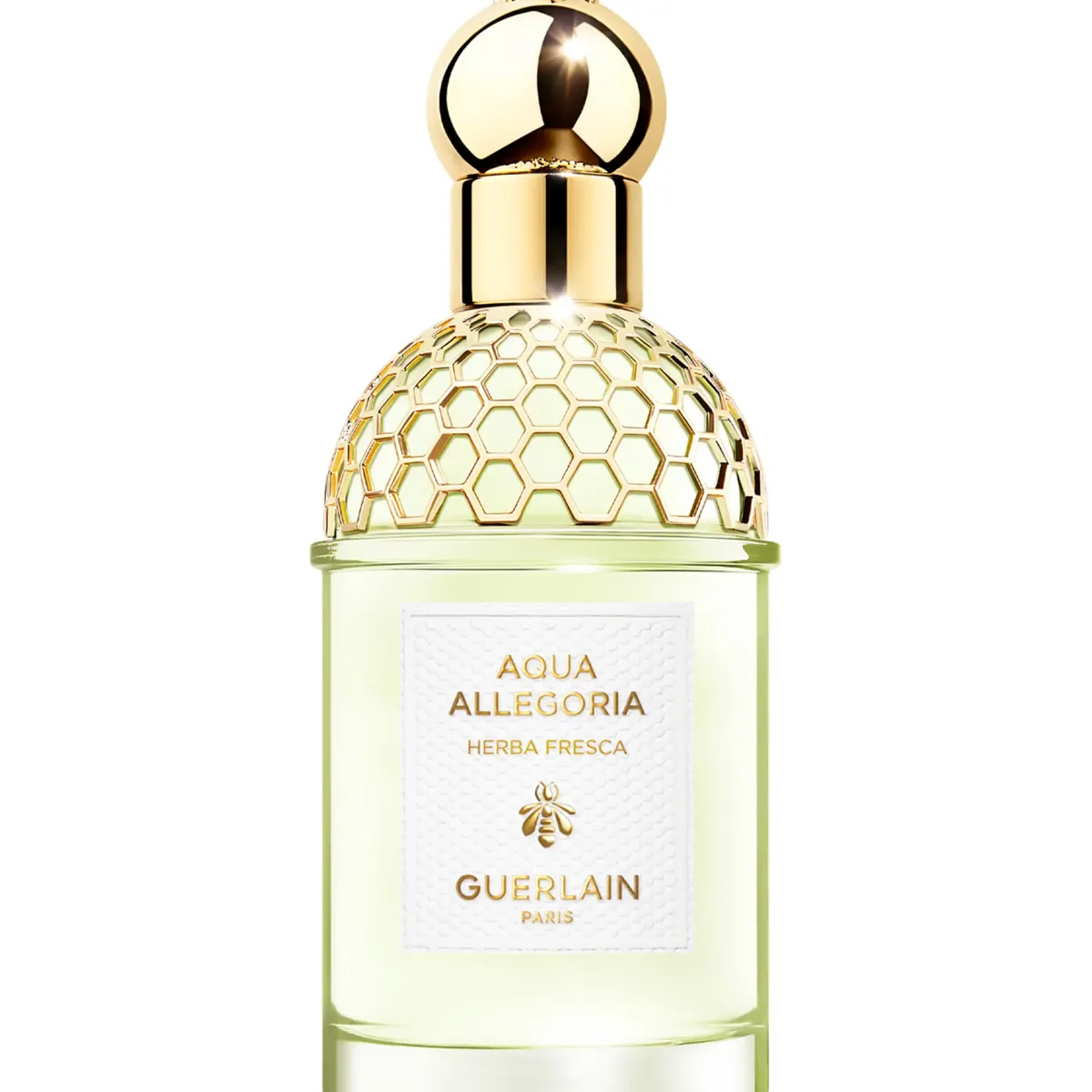 Guerlain Parfums Frais>Aqua Allegoria Herba Fresca Eau de Toilette Spray