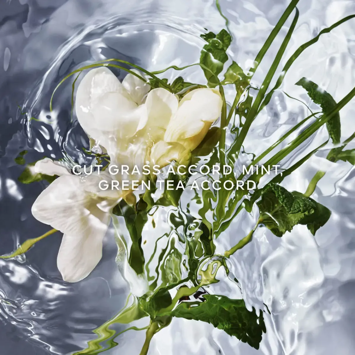 Guerlain Parfums Frais>Aqua Allegoria Herba Fresca Eau de Toilette Spray