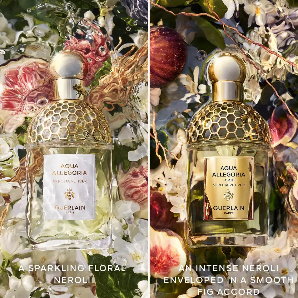 Guerlain Parfums Floraux>Aqua Allegoria Nerolia Vetiver Forte Eau de Parfum Spray