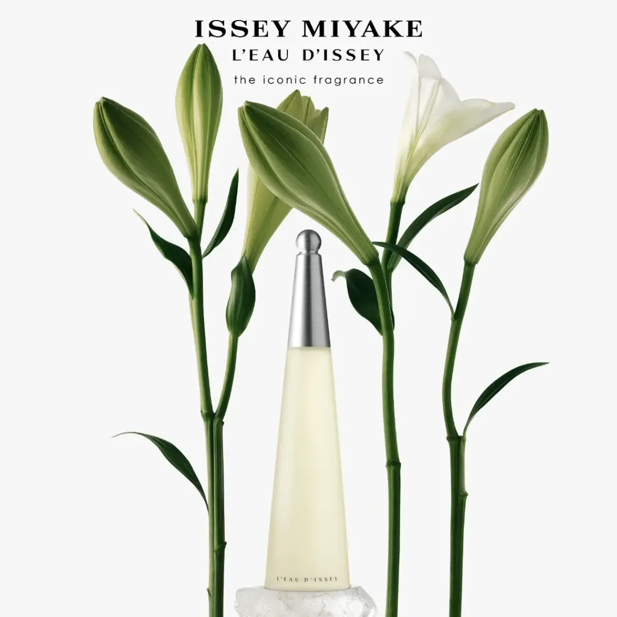 Issey Miyake Parfums Frais|Parfums Floraux>L'Eau d'Issey Eau de Toilette Spray