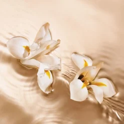 Jimmy Choo Parfums Floraux><noscript><img width=