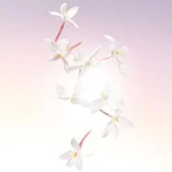 Lancôme Parfums Floraux><noscript><img width=