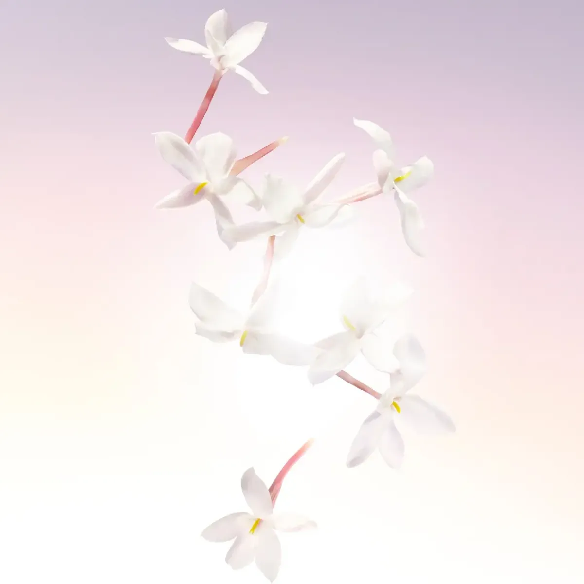 Lancôme Parfums Floraux>Idôle Eau de Parfum Spray