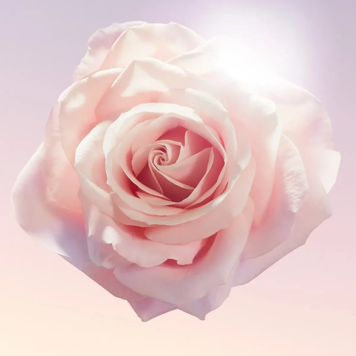 Lancôme Parfums Floraux>Idôle Eau de Parfum Spray