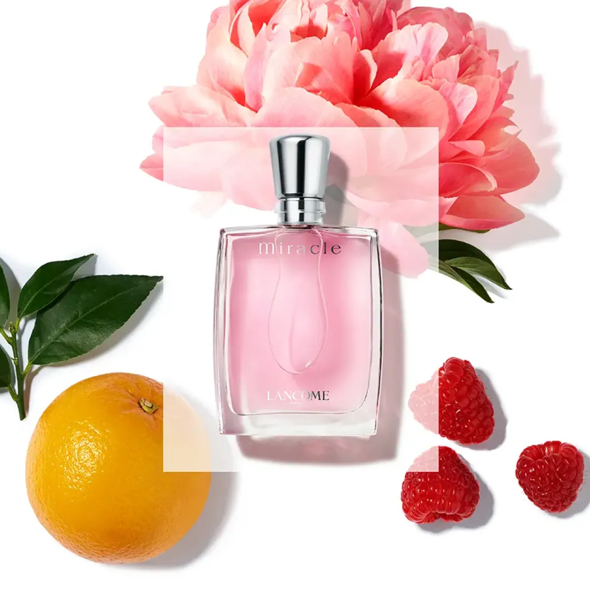 Lancôme Parfums Floraux>Miracle Eau de Parfum Spray