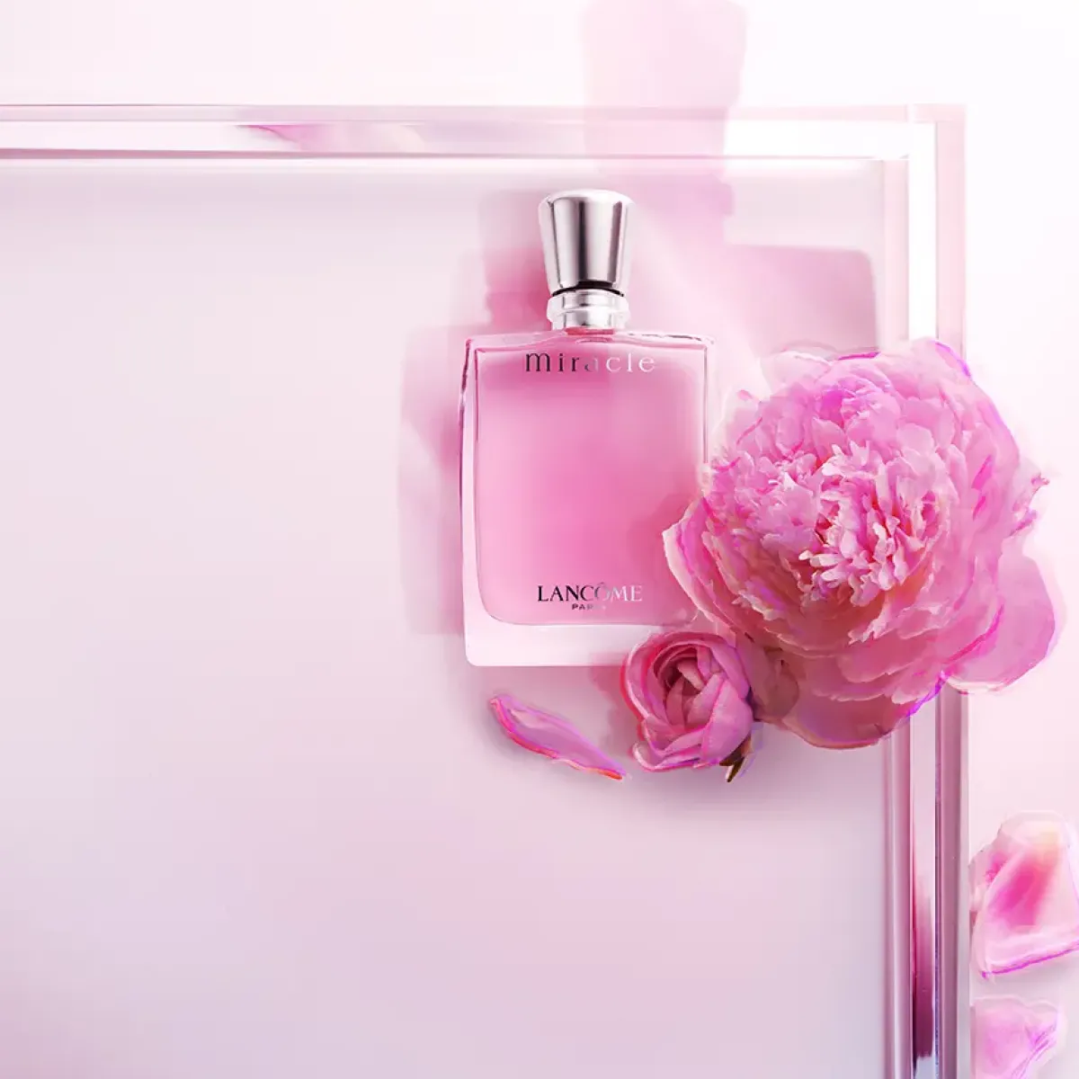 Lancôme Parfums Floraux>Miracle Eau de Parfum Spray