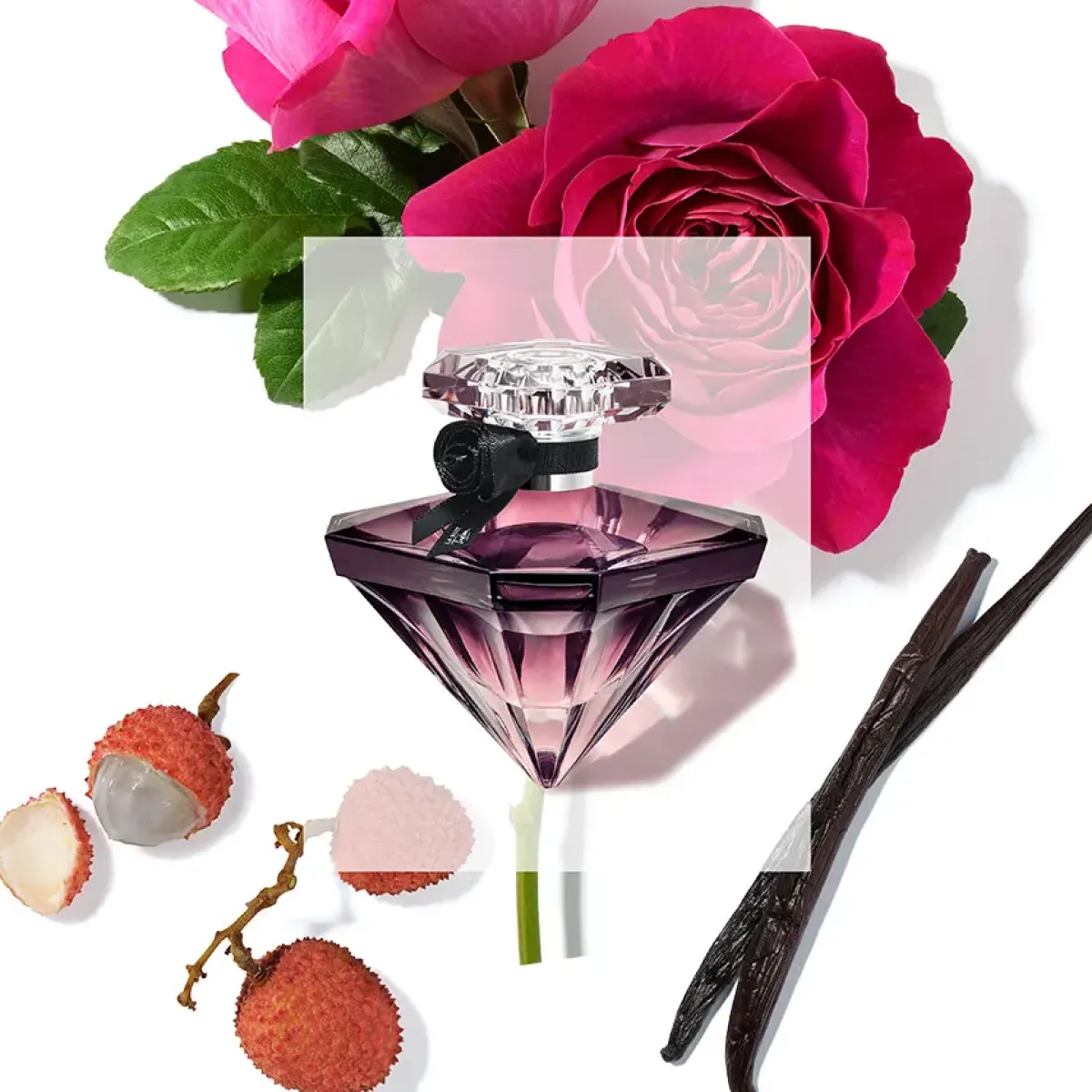 Lancôme Parfums Épicés>Tresor la Nuit Eau de Parfum Spray