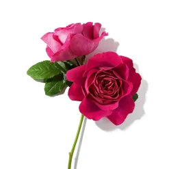 Lancôme Parfums Épicés><noscript><img width=