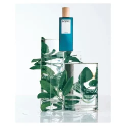 Loewe Parfums De Niche Pour Hommes><noscript><img width=