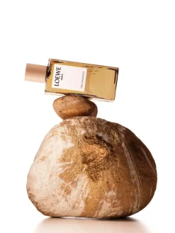 Loewe Parfums De Niche Pour Femmes><noscript><img width=