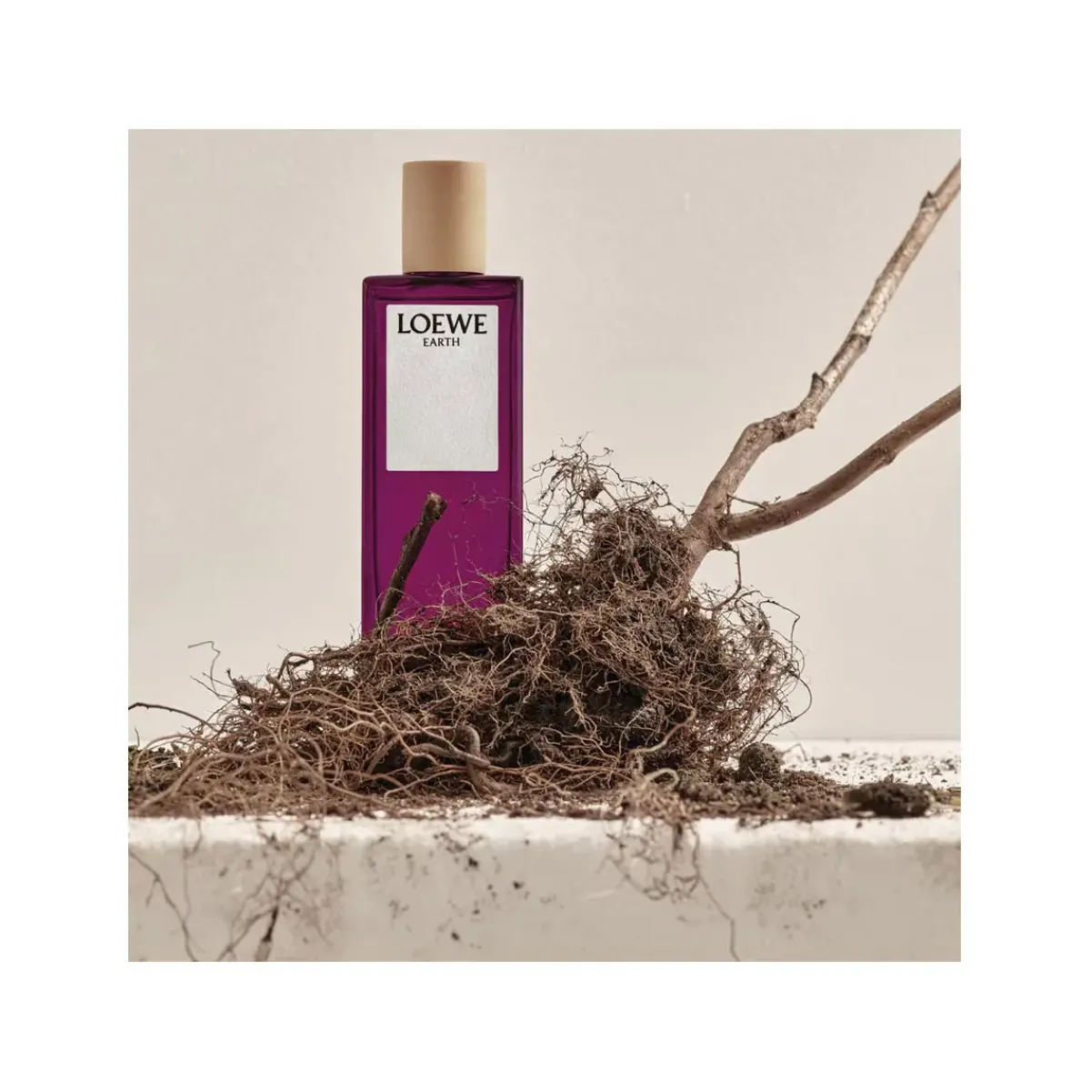 Loewe Parfums De Niche Pour Hommes|Parfums Floraux>Earth Eau de Parfum