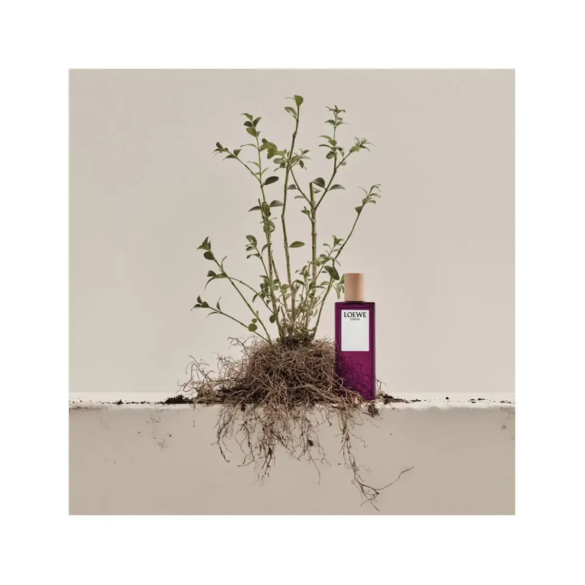 Loewe Parfums De Niche Pour Hommes|Parfums Floraux>Earth Eau de Parfum