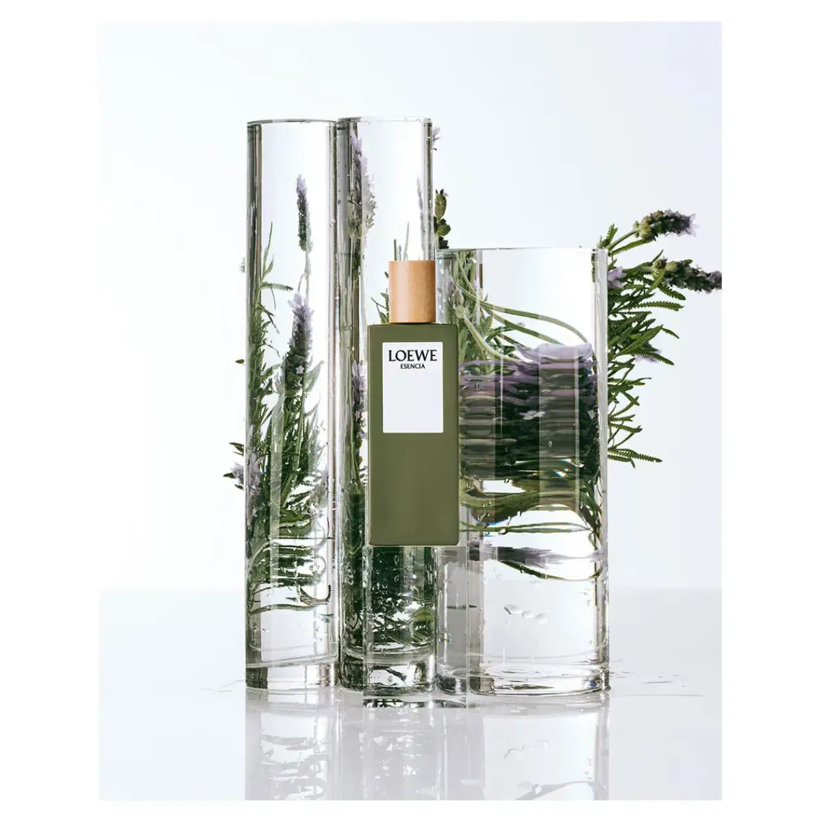Loewe Parfums De Niche Pour Hommes|Parfums Frais>Esencia Eau de Toilette Spray
