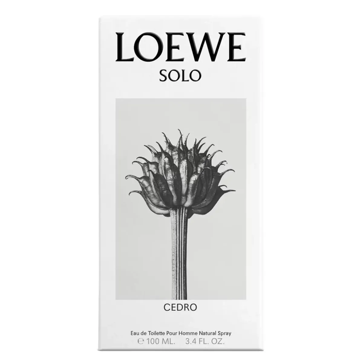 Loewe Parfums De Niche Pour Hommes|Parfums Épicés>Solo Cedro Eau de Toilette Spray