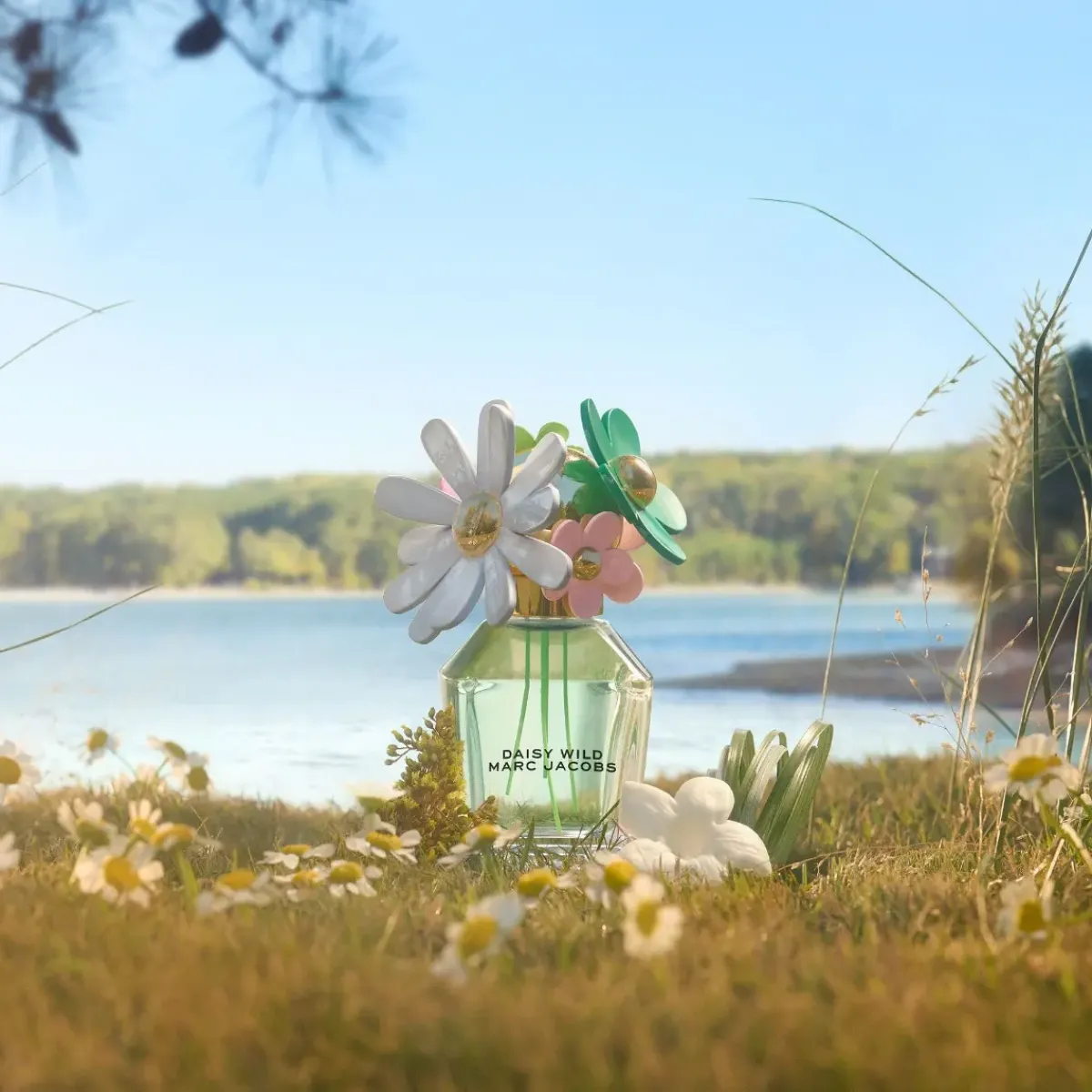 Marc Jacobs Parfums Frais|Parfums Floraux>Daisy Wild Eau de Parfum