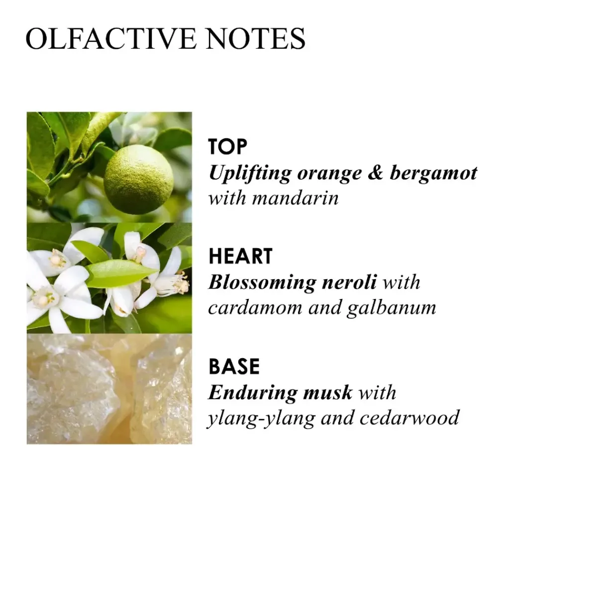 Molton Brown Accessoires Maquillage|Parfums Frais>Orange & Bergamot Aroma Reeds