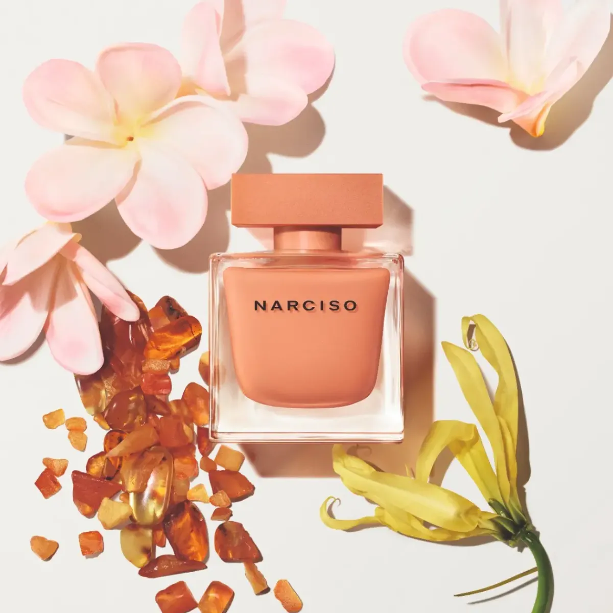 Narciso Rodriguez Parfums Épicés|Parfums Floraux>Narciso Ambree Eau de Parfum Spray