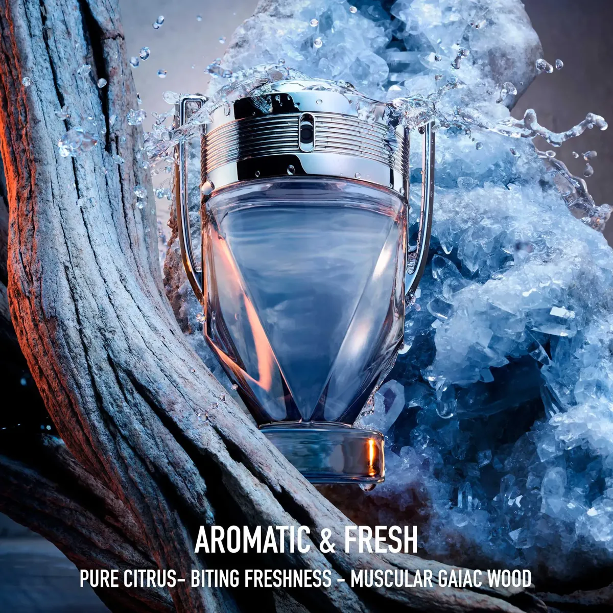 Rabanne Parfums Frais>Paco Invictus Eau de Toilette Spray