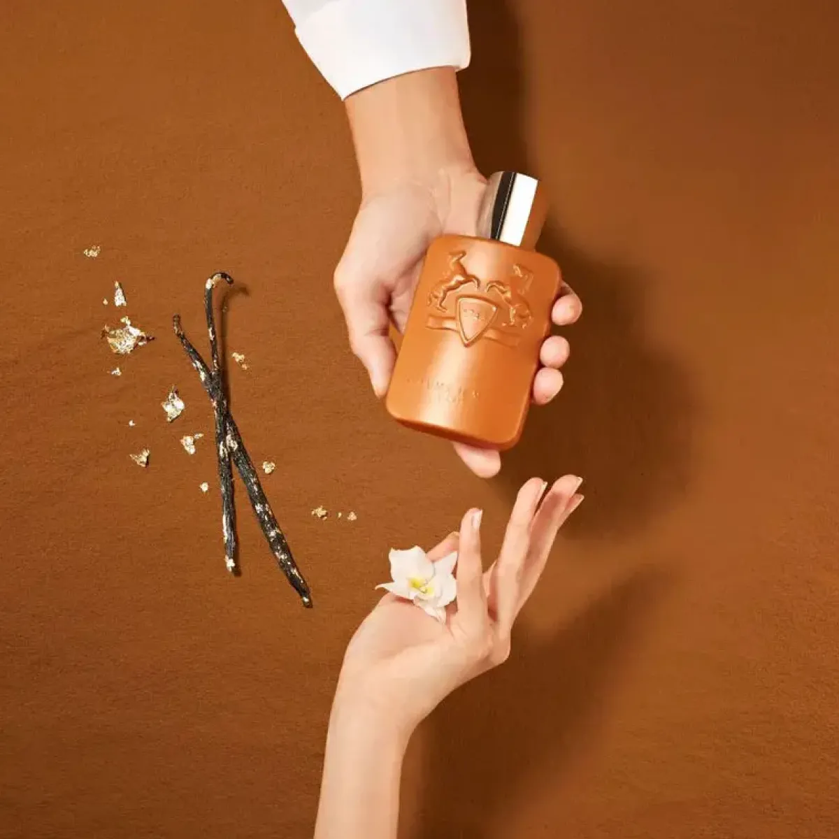 Parfums de Marly Parfums De Niche Pour Hommes|Parfums Épicés>Althair Eau de Parfum
