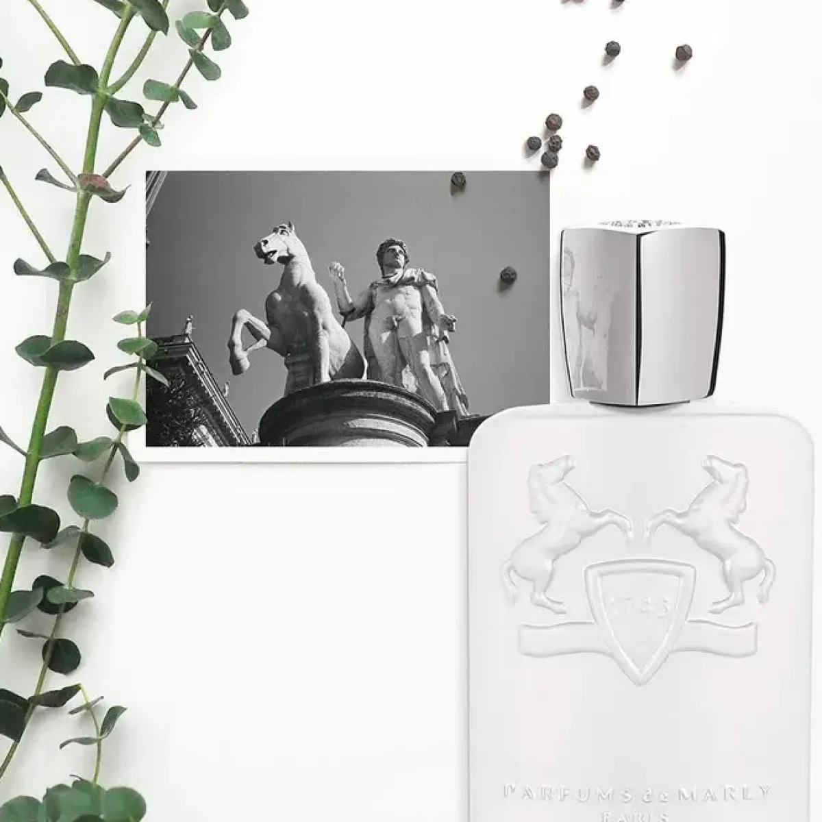 Parfums de Marly Parfums De Niche Pour Femmes|Parfums De Niche Pour Hommes>Galloway Eau de Parfum Spray